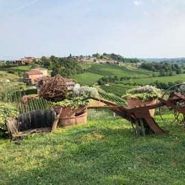 Wenecja: wycieczka po winnicach Prosecco Hills z degustacją i lunchem