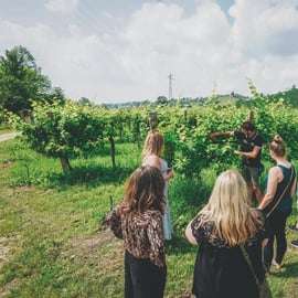 Z Wenecji: Wzgórza Prosecco i degustacja wina