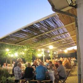 Degustacja Prosecco na wzgórzach pod Wenecją i winnica