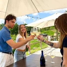 Degustacja Prosecco na wzgórzach pod Wenecją i winnica