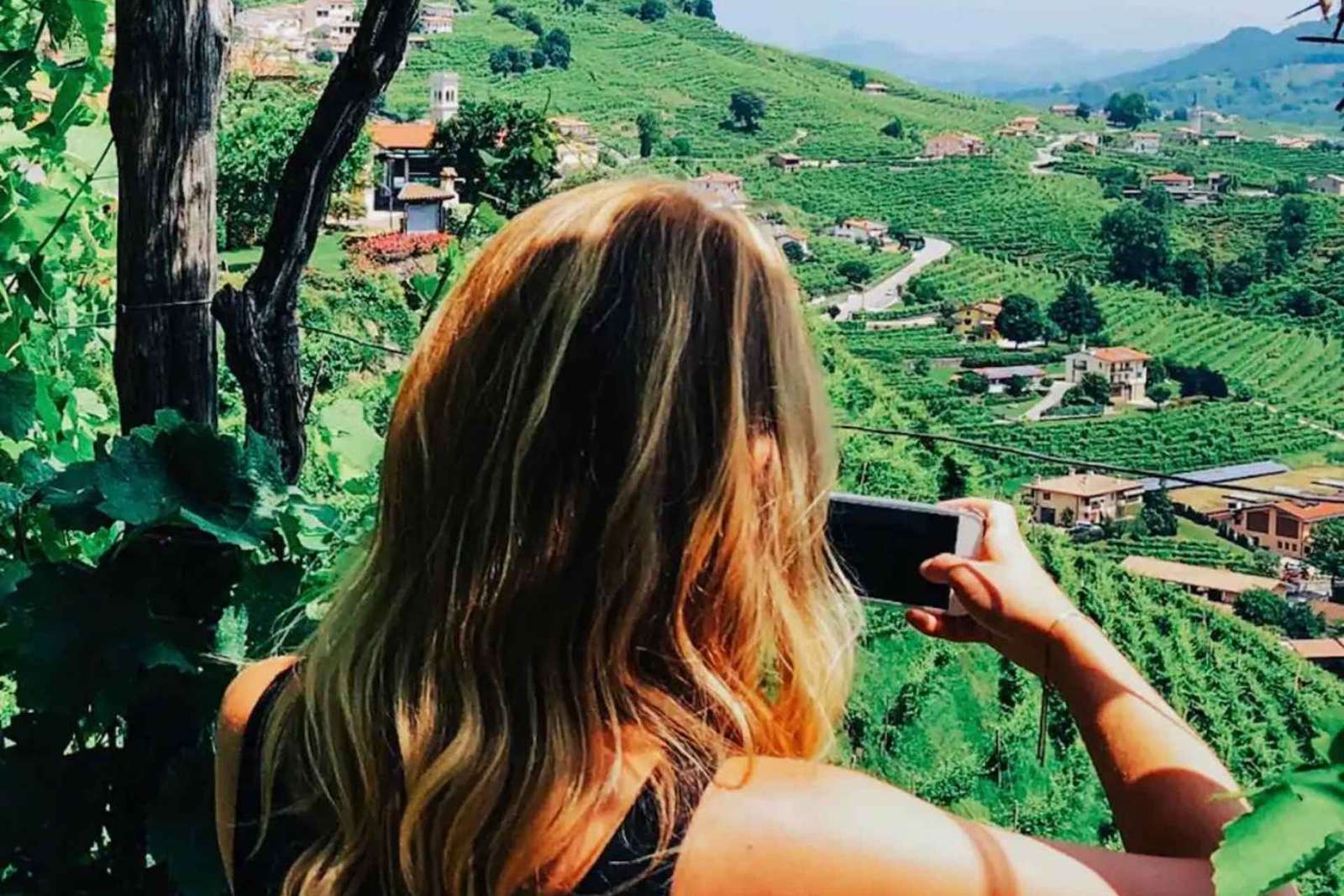 Wenecja: wycieczka po winnicach Prosecco Hills z degustacją i lunchem