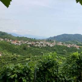 Wenecja: wycieczka po winnicach Prosecco Hills z degustacją i lunchem